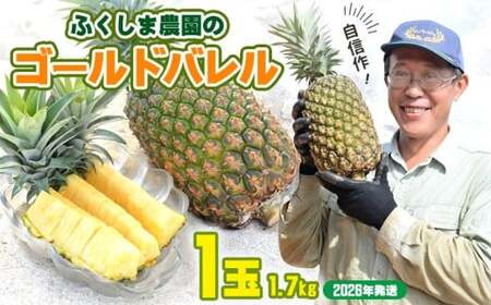 ゴールドバレル[パインアップル](1玉)約1.7kg ふくしま農園の自信作!◆2026年発送◆ ゴールドバレル パイナップル 高品質 新鮮 ジューシー 希少 高い糖度 大玉 甘い トロピカル パイン 生産量日本一 高級フルーツ 南国フルーツ 国産 完熟 福島 農家直送 沖縄 東村[ 提供事業者:ふくしま農園]
