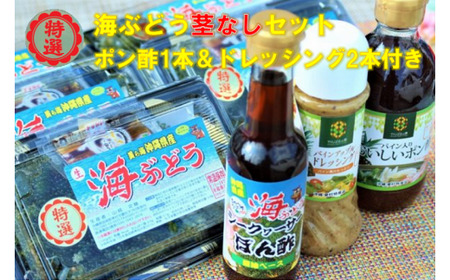 海ぶどう茎なしセット(ポンズ1本&ドレッシング2本付き)海ぶどう 海ブドウ 沖縄 ウミブドウ お土産 特産物 うみぶどう