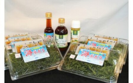 海ぶどうセットB(ポン酢&ドレッシング付き) 海ブドウ 海ぶどう 沖縄 ウミブドウ お土産 特産物 うみぶどう