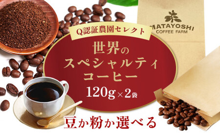 [豆か粉か選べる]又吉コーヒー園セレクト(120g×2袋 )[世界のスペシャルティコーヒー]