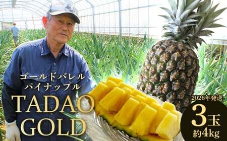 TADAO GOLD@3ʁ@4kgi܂ށjyS[hoz2026N S[ho pCAbv ^_IS[h ܂  i pCEl ō YpC pCibv pC 