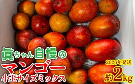 眞ちゃん自慢のマンゴー 小玉サイズミックス[約2kg]2026年発送 マンゴー まんごー ミニ みにまんごー サイズ不揃い ふぞろい 小玉 訳あり 農家応援 生産者応援 規格外 ジューシー 南国 濃厚 お裾分け 沖縄 国産 沖縄県 東村