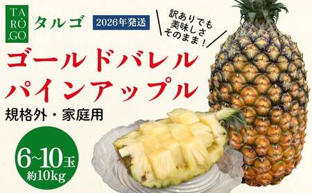 �����Y�uTARUGO�v��10kg�i6�`10�ʁj�^�ƒ�p