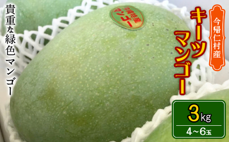 【先行受付・2025年8～10月頃発送予定】沖縄県今帰仁村産のキーツマンゴー3kg(4～6玉)【配送不可地域：離島】【1572260】