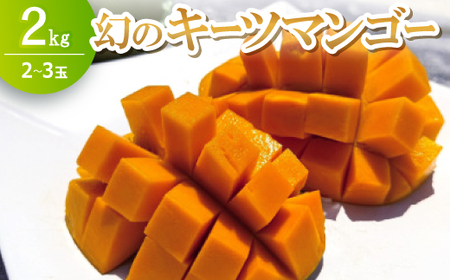 y2026N8{珇z݂ȂƂ΂_̌̃L[c}S[2kg(2`3)yzsnFzy1593001z