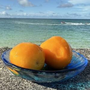 yʌEuԗⓀz{}S[̊n~j}S[300g`400g×3܁yzsnFzy1664971z