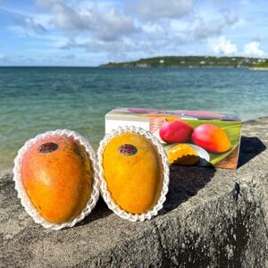 y2026N7珇Eʌz{}S[̊󏭕ỉďg1kg(2`3)yzsnFzy1664978z