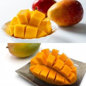 yŒցzƒp}S[2Hה(Abv}S[L[c}S[)S2yzsnFzy4074843z