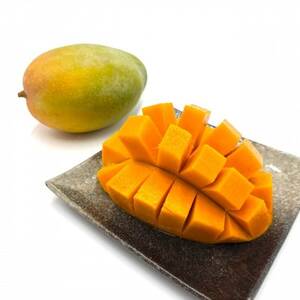 ystE2026N8珇Eƒpz{}S[̌̃L[c}S[1kg(1`2)yzsnFzy1694611z