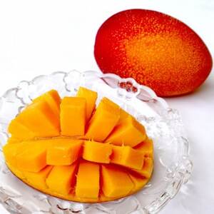 y2026N7珇EIz{_̃A[EB}S[2kg(4`6)yzsnFzy1695314z