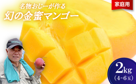 y2026N7珇Eƒpz[錶̋}S[2kg(4`6)yzsnFzy1694702z