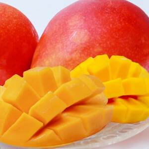 y2026N7珇EƒpzAm䂪Ӕ_̃A[EB}S[2kg(4`6)yzsnFzy1694708z