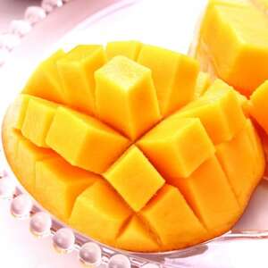 y2026N7珇Epzxe_Ƃ񂪍 A[EB}S[2kg(4`6)yzsnFzy1695286z