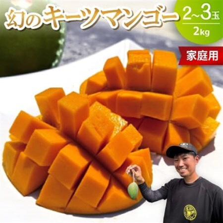 【2026年8月下旬から順次発送・家庭用】みなとばる農園の幻のキーツマンゴー2.0kg(2～3玉)【配送不可地域：離島】【1699837】