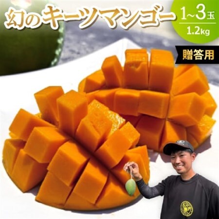 【2026年8月下旬から順次発送・贈答用】みなとばる農園の幻のキーツマンゴー1.2kg(1～3玉)【配送不可地域：離島】【1699963】