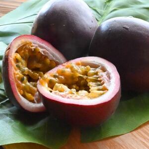 [2026年6月上旬から順次発送]初夏に味わう ファーム寿のパッションフルーツ2kg(20玉前後)