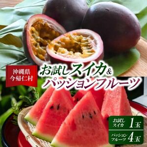 [2026年6月上旬から順次発送]今帰仁村のお試しスイカ1玉&パッションフルーツ4玉[配送不可地域:離島]