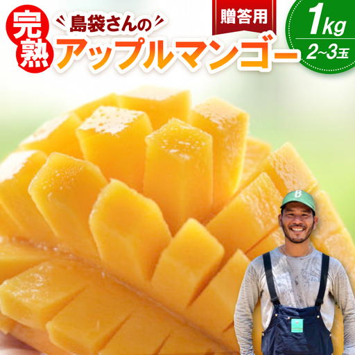 【2026年7月上旬から順次発送・贈答用】島袋さんの完熟アップルマンゴー 1kg(2～3玉)【配送不可地域：離島】【1726283】