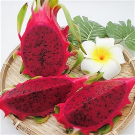 [2026年7月下旬から順次発送]富平農園のドラゴンフルーツ2kg(4〜6玉)