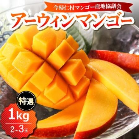 [2026年6月下旬から順次発送]今帰仁産の特選アップルマンゴー1kg(2〜3玉)[配送不可地域:離島]