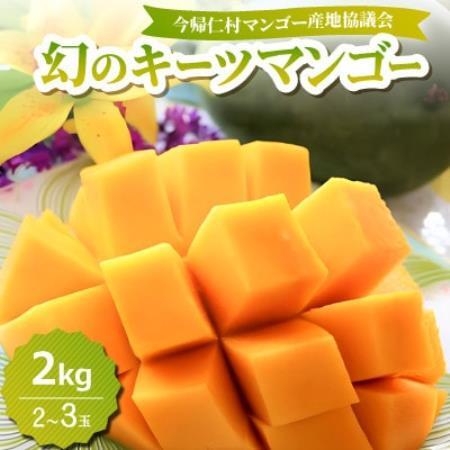 【2026年8月中旬から順次発送】今帰仁産の幻のキーツマンゴー2kg(2～3玉)【配送不可地域：離島】【4014740】