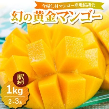 [2026年7月中旬から順次発送・訳あり]今帰仁産の幻の黄金マンゴー1kg(2〜3玉)[配送不可地域:離島]