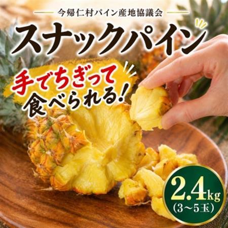[2026年5月中旬から順次発送]今帰仁村パイン産地協議会 スナックパイン2.4kg(3〜5玉)[配送不可地域:離島]