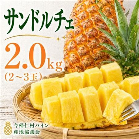 [2026年8月上旬から順次発送]今帰仁村パイン産地協議会 サンドルチェ2.0kg(2〜3玉)[配送不可地域:離島]