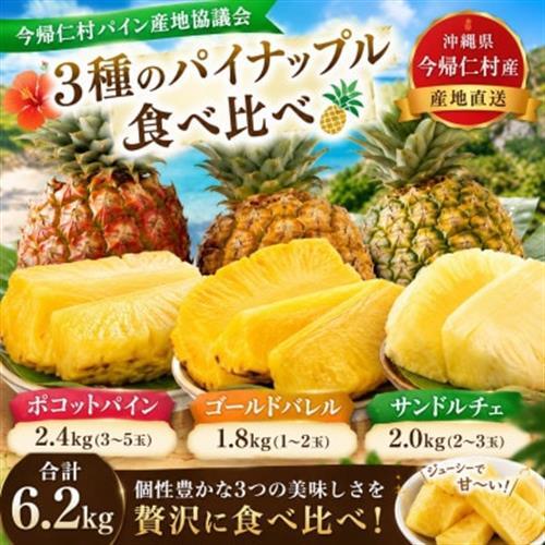 【発送月固定定期便】今帰仁村パイン産地協議会 3種のパイナップルの食べ比べ全3回【配送不可地域：離島】【4086626】