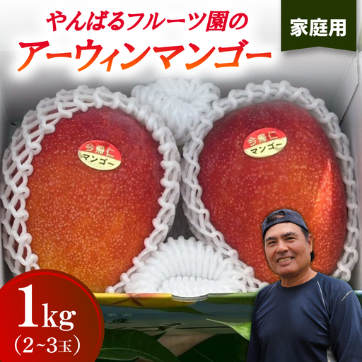 【2026年6月から順次発送・家庭用】やんばるフルーツ園のアーウィンマンゴー1.0kg(2～3玉)【配送不可地域：離島】【1740009】