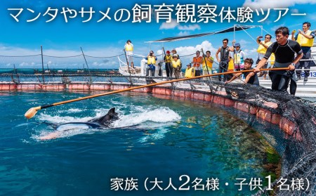 マンタやサメの飼育観察体験ツアー 家族( 大人2名 子供1名)