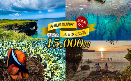 [返礼品なし]沖縄県恩納村ふるさと応援寄附金 15000円