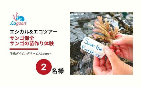 チケット サンゴ苗作り体験 | 2名 or 1名×2株 沖縄サンゴの村[恩納村ラグーン]