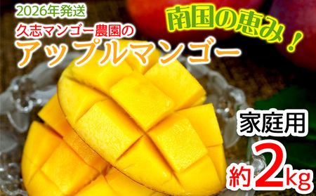 [2026年発送]久志マンゴー農園のアップルマンゴー家庭用(約2kg) アーウィン 果物 甘い 夏 濃厚 ギフト Mango ランキング 完熟 お気に入り 美味しい 人気 おすすめ フルーツ 沖縄県 先行予約 食品 デザート 産地直送 送料無料