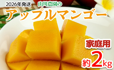 y2026NzR_̃Abv}S[ƒpi2kgj A[EB ʕ Â  Z  Mango LO n Cɓ  lC  t[c ꌧ 썑 Hi f