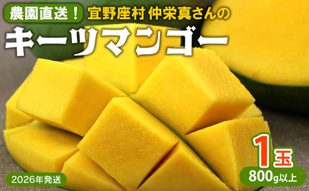 y2026Nz_IX@h^̃L[c}S[1ʁi800gȏj t[c Â     Mango LO 傫  蕨 r^~  ґ