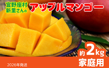 y2026NzX̐V琴̃Abv}S[ƒpi2kgj A[EB ʕ Â  Z Mtg Mango LO n Cɓ  lC  t[c ꌧ