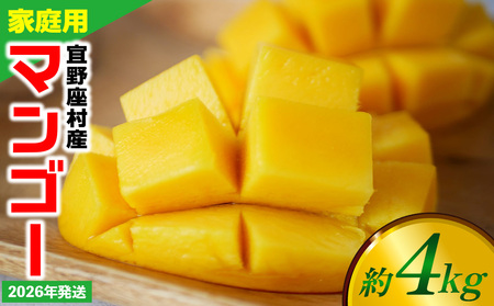 [2026年発送]ご家庭用マンゴー 約4kg[宜野座村産] 沖縄 南国 先行予約 期間限定 マンゴー 果物 くだもの フルーツ 果実 家庭用 自宅用 濃厚 甘い 芳醇 夏
