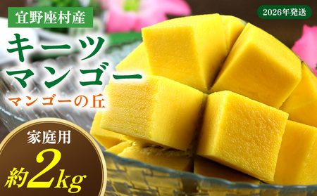 [2026年発送] 宜野座村産キーツマンゴー「マンゴーの丘」家庭用 約2kg フルーツ 甘い 美味しい 特徴 香り お取り寄せ Mango デザート 大きい 希少 贈り物 ビタミン おすすめ 贅沢 栄養価 国産 沖縄県 人気 産地直送 送料無料