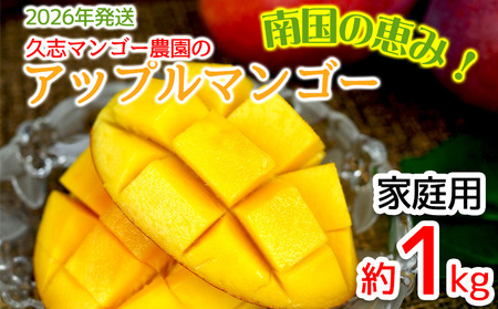 [2026年発送]久志マンゴー農園のアップルマンゴー家庭用(約1kg) アーウィン 果物 甘い 夏 濃厚 ギフト Mango ランキング 完熟 お気に入り 美味しい 人気 おすすめ フルーツ 沖縄県 先行予約 食品 デザート 産地直送 送料無料