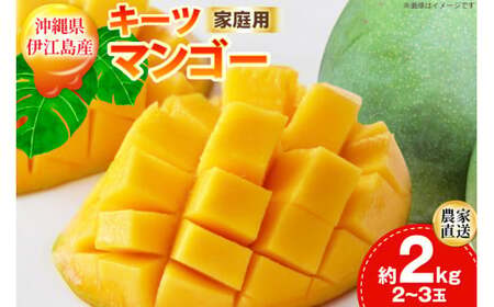 [期間限定発送] 家庭用 キーツ マンゴー 約 2kg (2〜3玉) [伊江村マンゴー部会 沖縄県 伊江村 ie47bde320000]