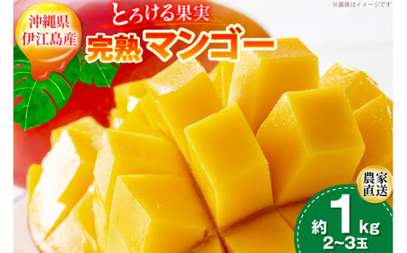 [期間限定発送] 完熟 マンゴー (アーウィン種) 約 1kg (2?3玉) [伊江村マンゴー部会 沖縄県 伊江村 ie47bde320012]