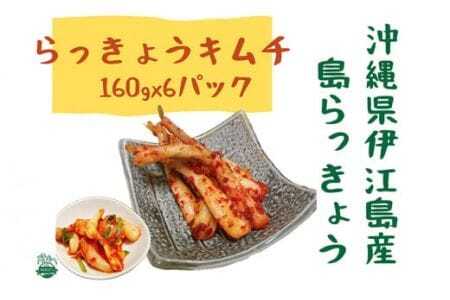 らっきょう 伊江島のらっきょうキムチ 160g 6個 [NOGUS 沖縄県 伊江村 ie47bde420000] キムチ 島らっきょう