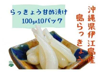 らっきょう 島らっきょうの甘酢漬け 100g 10個 [NOGUS 沖縄県 伊江村 ie47bde420001] 島らっきょう 甘酢漬け