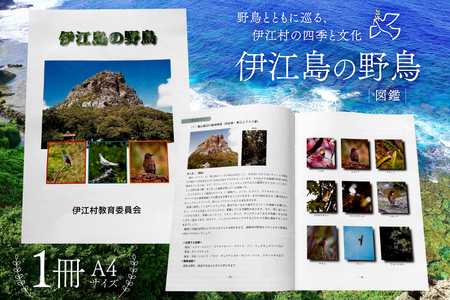 図鑑 伊江島の野鳥 1冊 [伊江村教育委員会 沖縄県 伊江村 ie47bde310000]