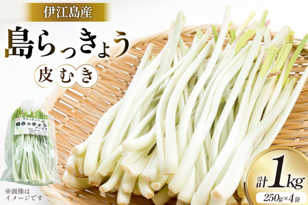 [期間限定発送]島らっきょう 生 皮むき 250g 4袋 計 1kg [ミュージアム 沖縄県 伊江村 ie47bde230011]