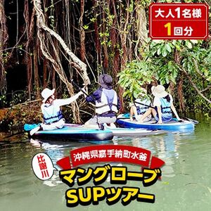 [大人用]マングローブSUPツアー