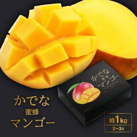 2026年発送【かでな蜜蜂マンゴー】約1kg(2～3玉)【配送不可地域：離島】【1226421】