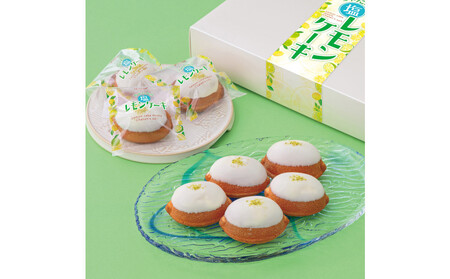 [ふるさと納税]北谷の塩レモンケーキ5個入り | 沖縄 レモンケーキ 北谷の塩 ケーキ 人気 人気店 おすすめ 北谷 ちゃたん おすすめ 送料無料