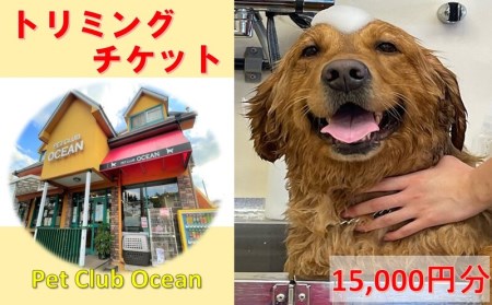 yPet Club OCEANzg~O`Pbgi15.000~j
